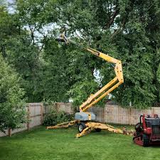 Best Seasonal Cleanup (Spring/Fall)  in Leander, TX